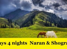5 Days 4 nights Trip to Kaghan Valley